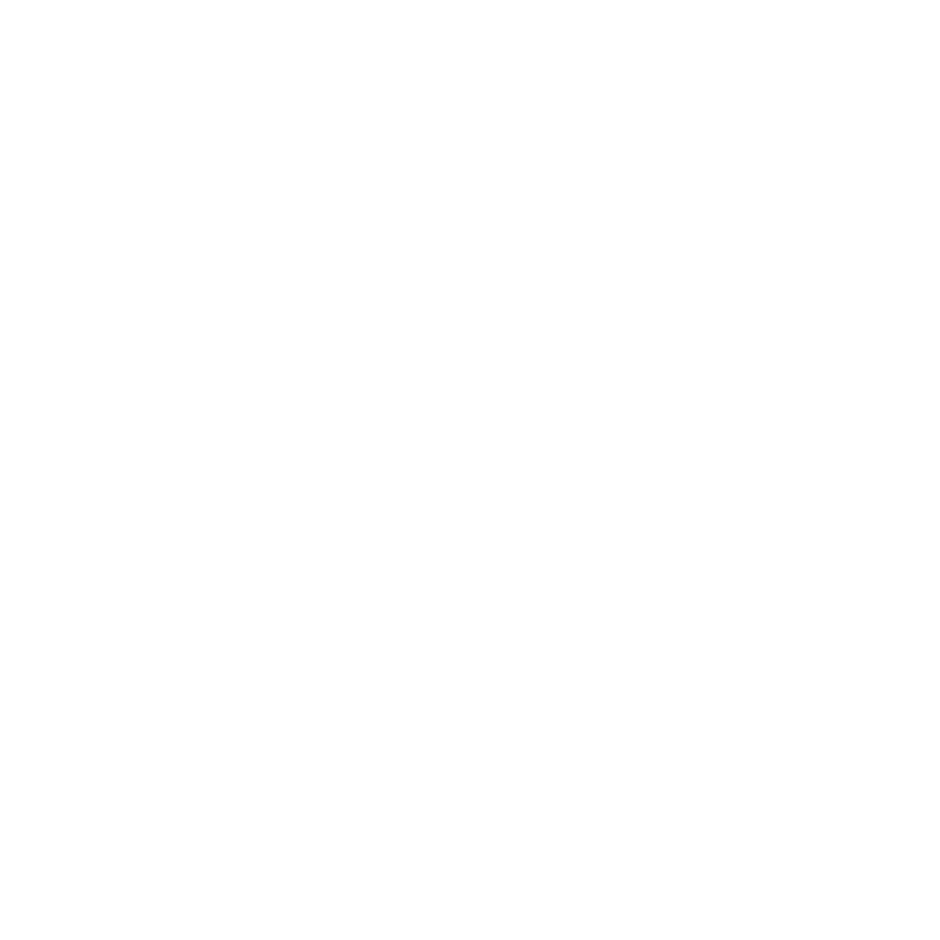 Miami City Ballet
